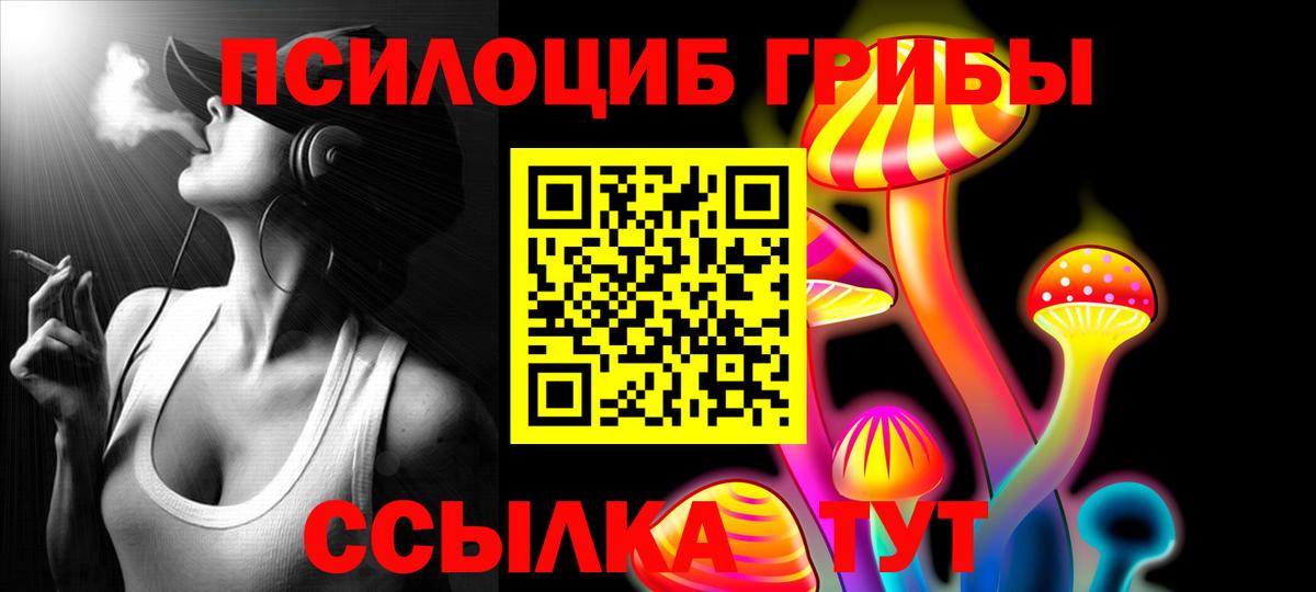 Тавда  Псилоцибиновые грибы Magic Shrooms  Галлюциногенные грибы Psilocybe  Вход с VPN 